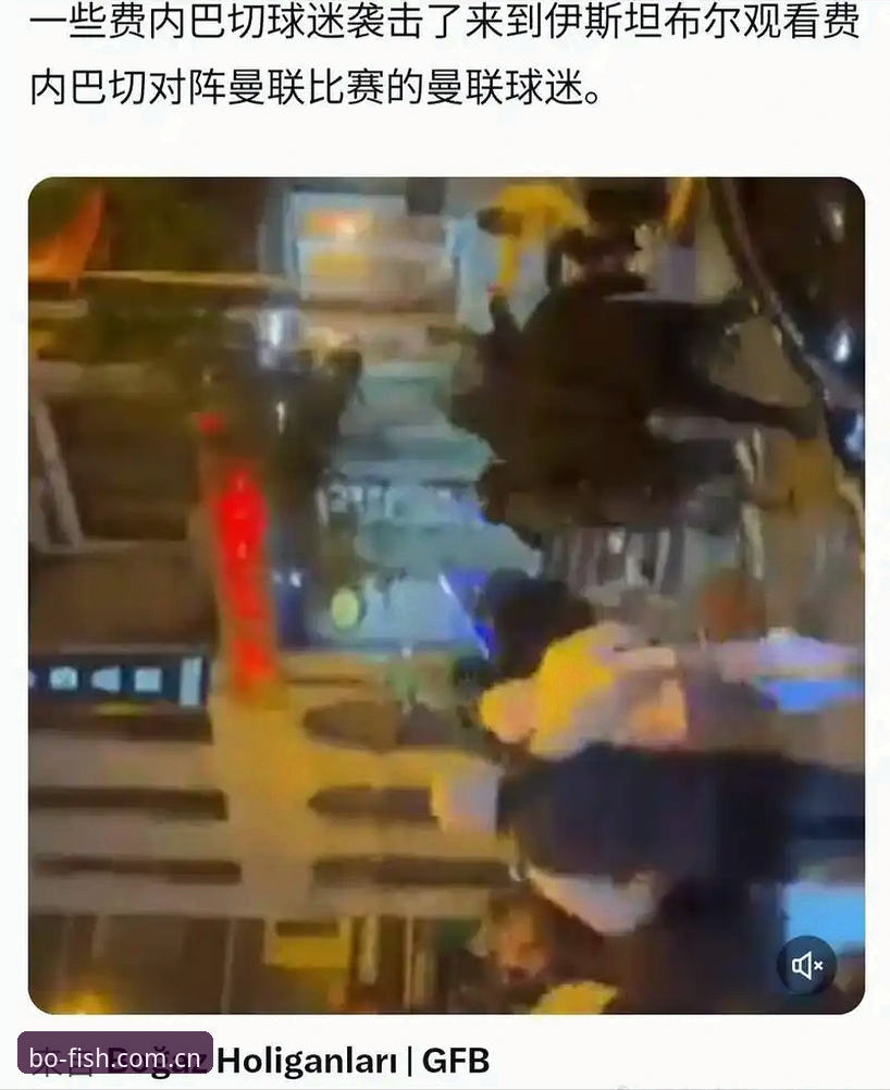 3大挑战：世界杯观赛危机下的约旦与土耳其球迷困境